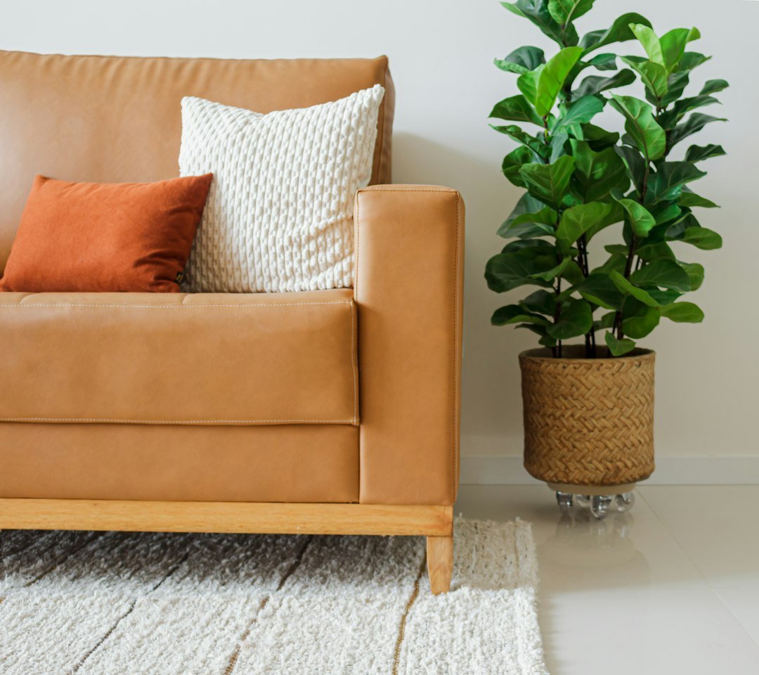 How to Declutter Your Home Room by Room